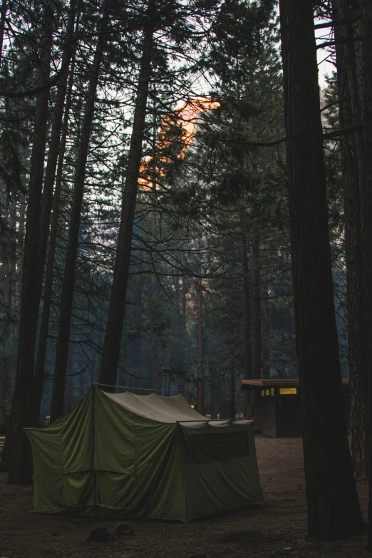 a tent pitched up in the woods with its door open