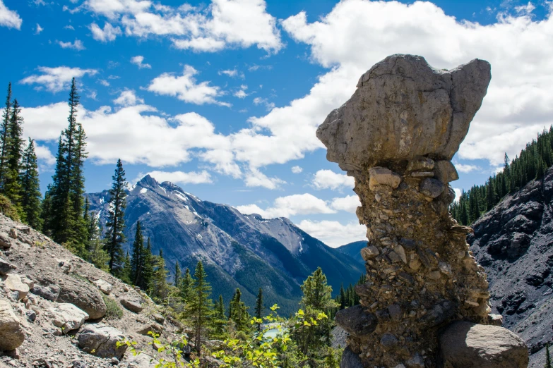 a rocky area with trees and mountains in the background