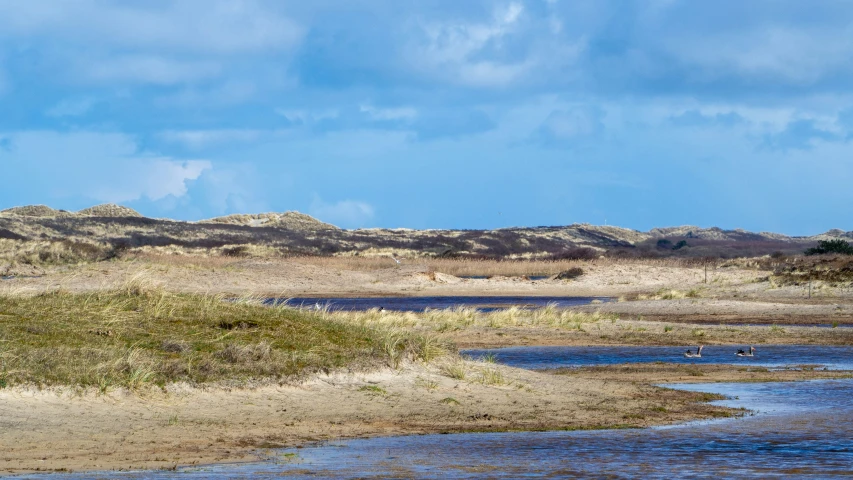 a water hole surrounded by bushes and sand hills