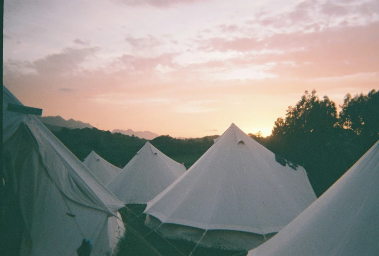 many tents at dusk near trees and sky