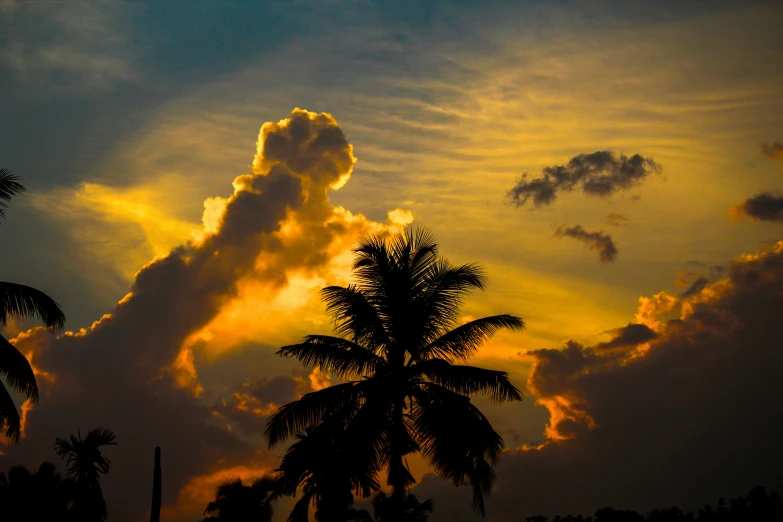 the sky with clouds and palm trees under it