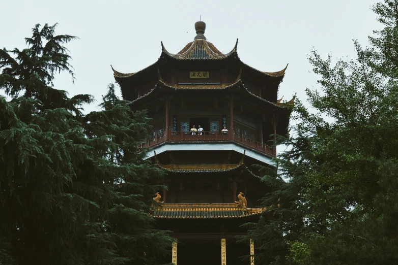 an ornate pagoda tower is located in the woods