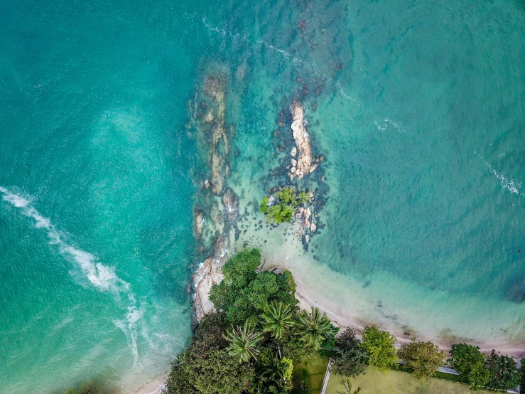 an aerial view of the shoreline and ocean with a tree lined beach