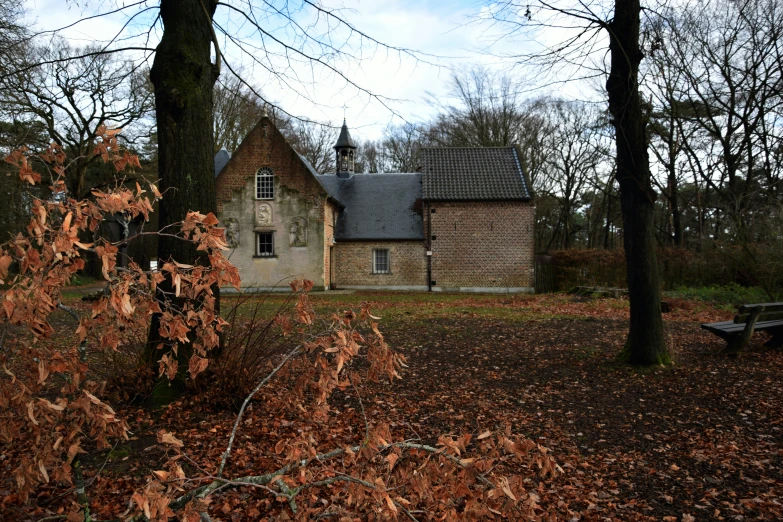 a small house surrounded by leafy trees and lots of leaves