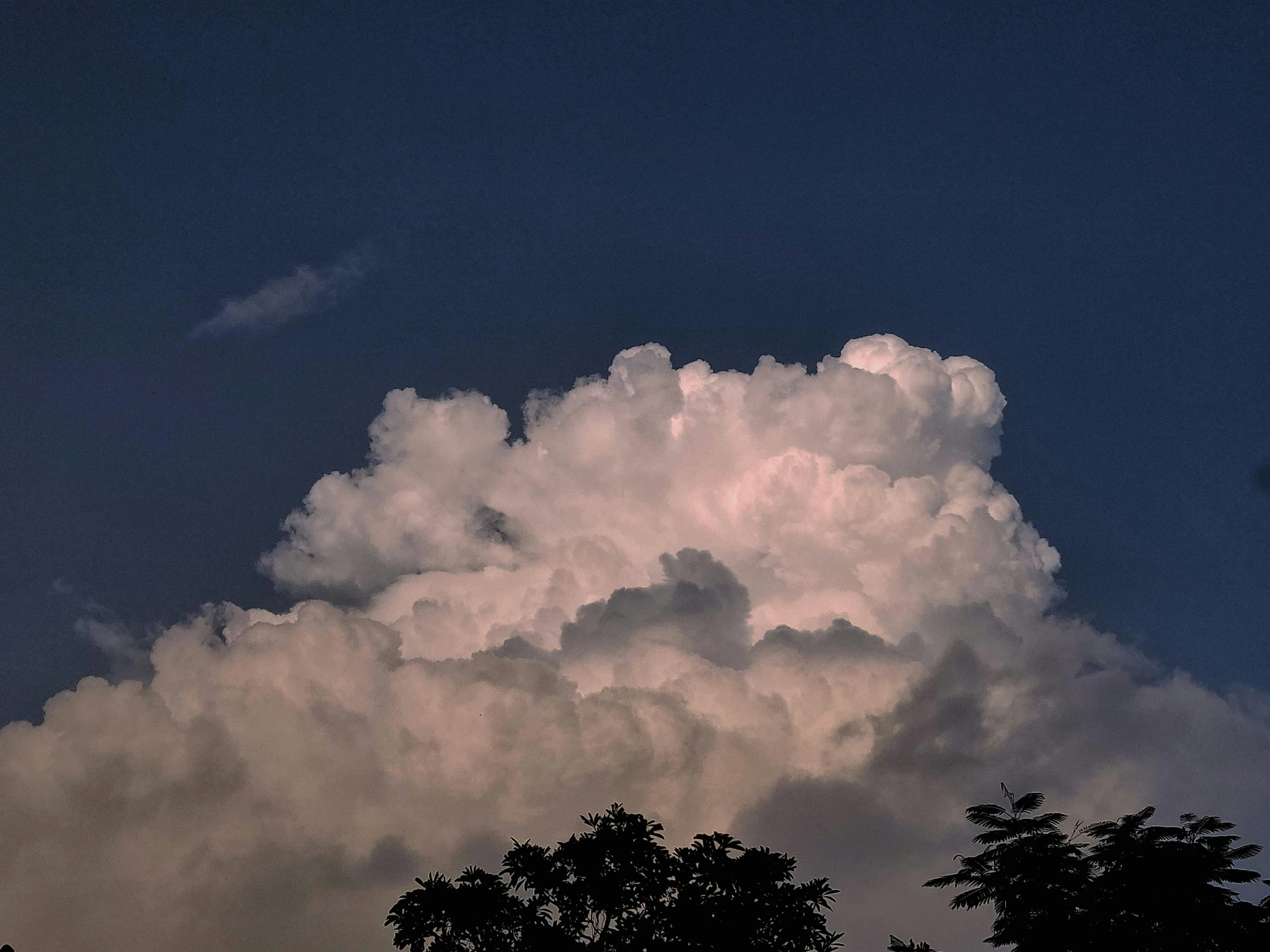 a large cloud is floating over trees on a sunny day