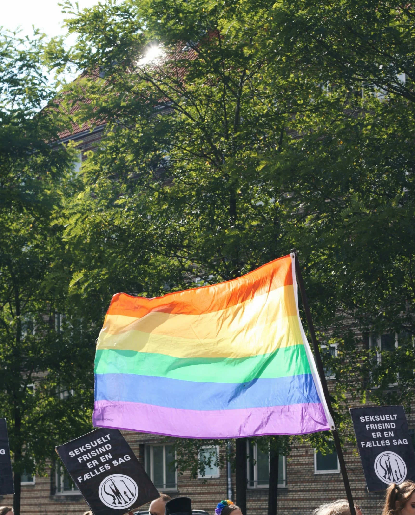 people are holding a rainbow flag at a demonstration