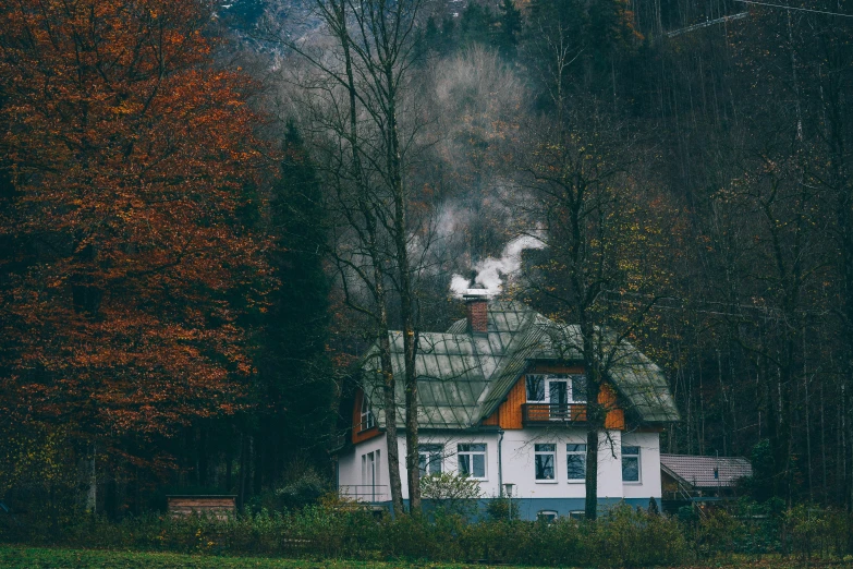 a small house that is in the middle of the woods