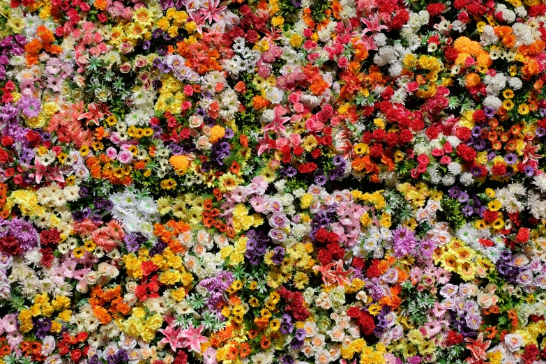 a group of different colored flowers are in a field