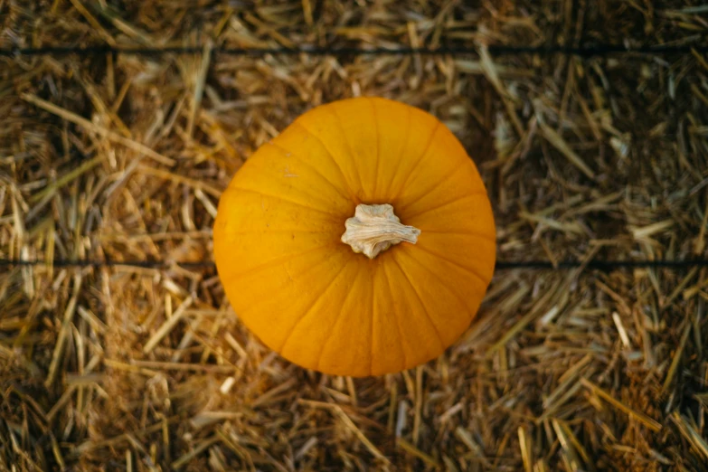 a pumpkin is resting in the straw on a farm