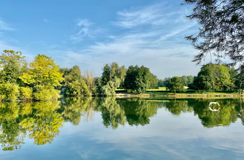 a large body of water surrounded by trees