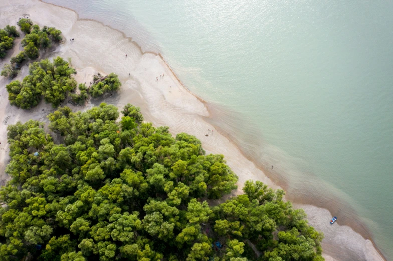 two people walking along a beach next to some water