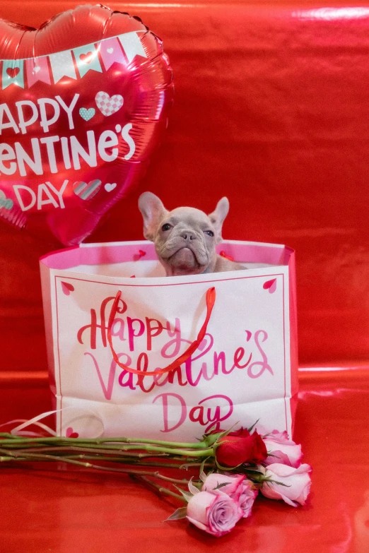 the dog is inside of the valentine card