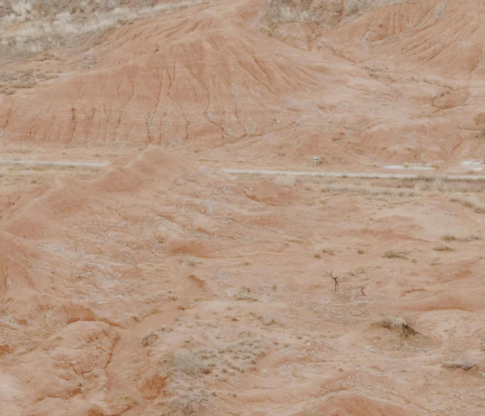 a horse walking up a dirt hill and looking back