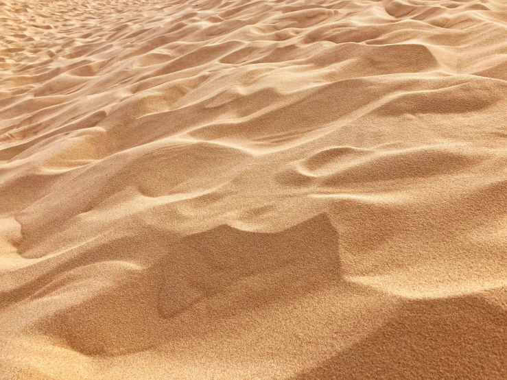 a sandy area with a hill behind it