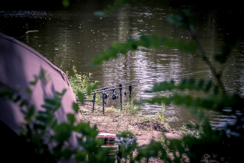 there is a bench in the foreground and water on the right