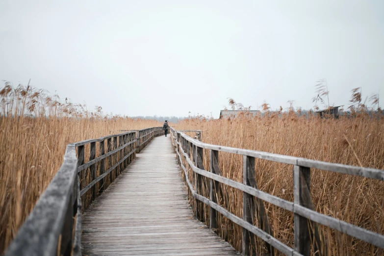 a wood and metal bridge that leads to the marsh