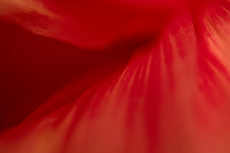 the background of a red fabric with very long folds