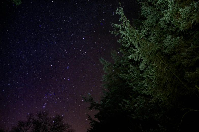 night sky with some lights on and trees