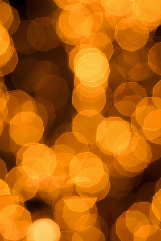 blurry lights, like these of some kind of tree in the background, create a dazzling, gold - toned po