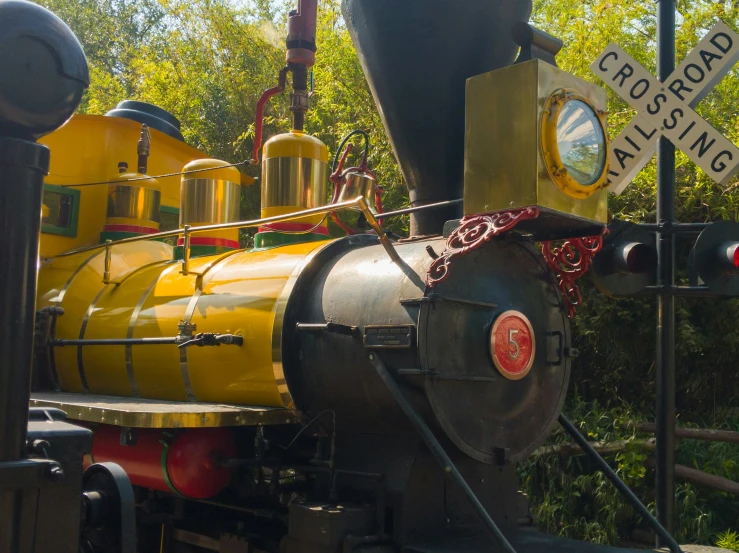 a train parked near some trees in a park