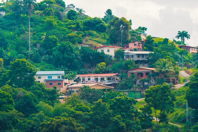 a view of a hill that has several houses on it