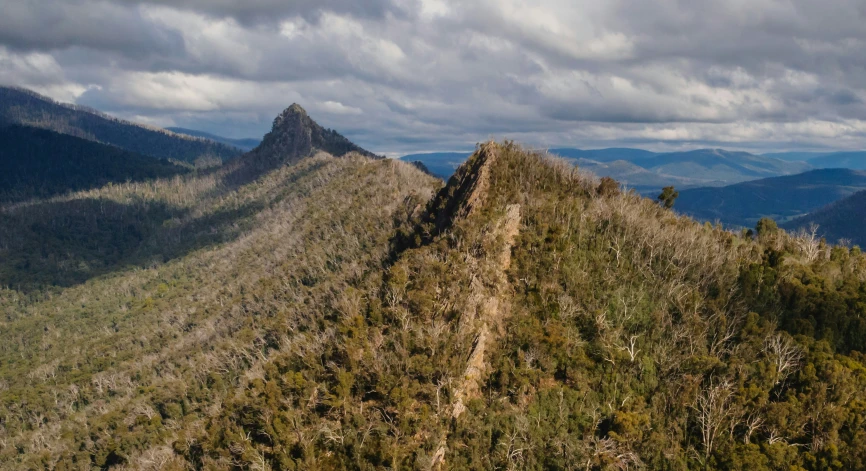 a mountain side covered in trees, under a cloudy sky