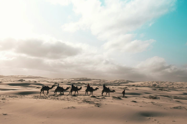 a group of people riding camels in the desert