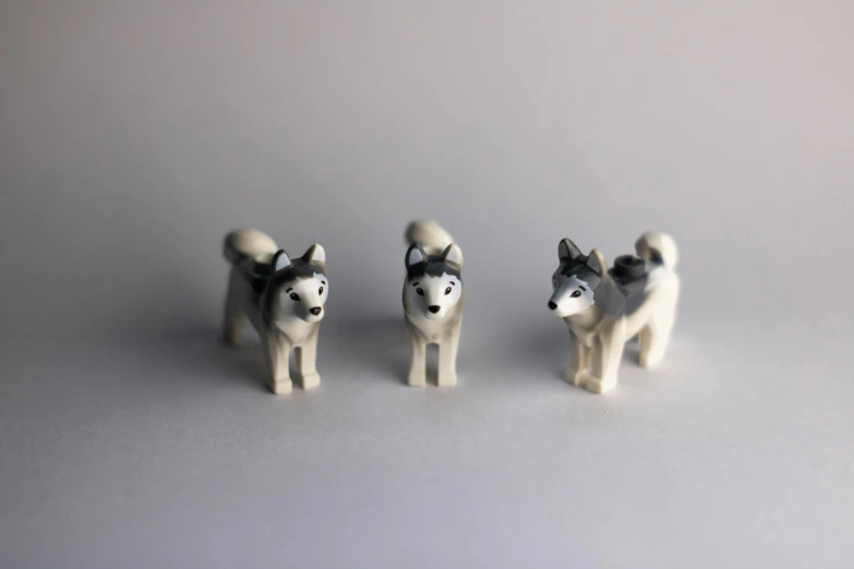 small toy dogs standing in a row