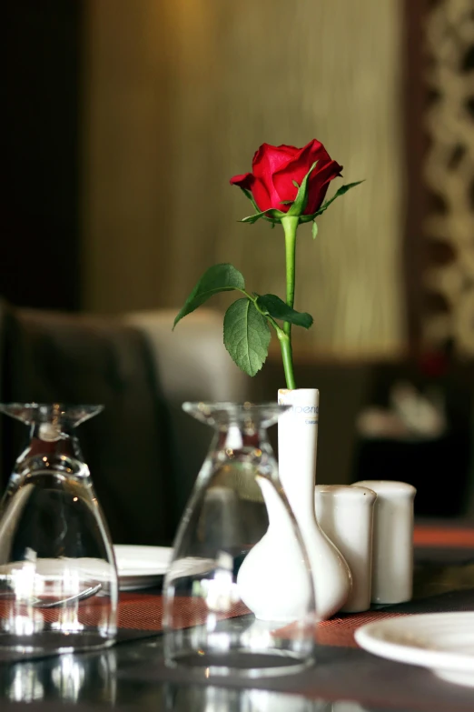 a single rose in a vase sitting on a table