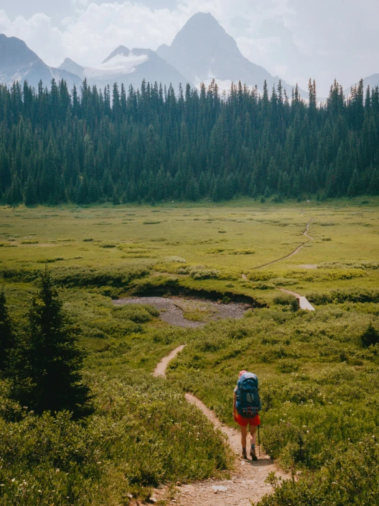 there is a hiker in the field going uphill