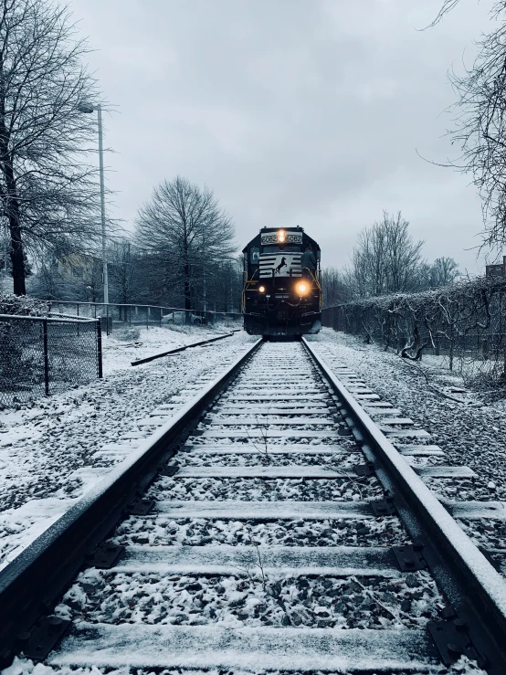 an image of train going through a snowy forest