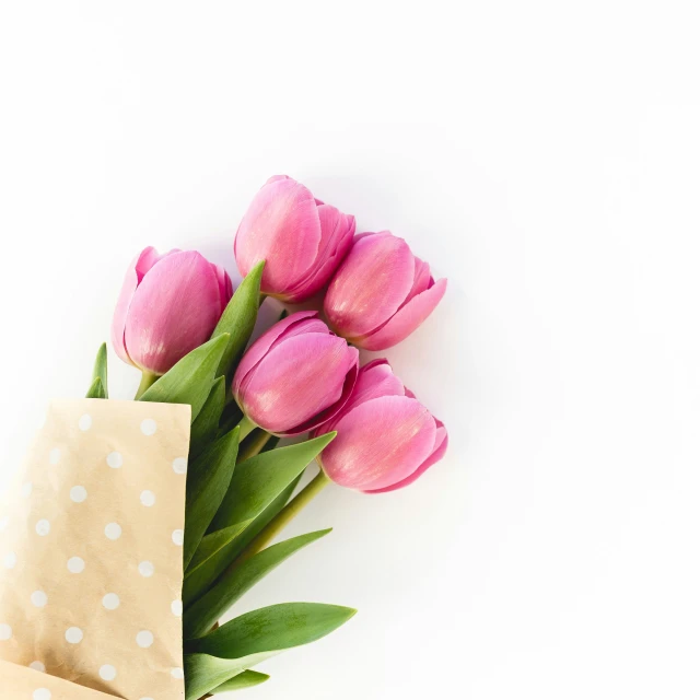 the pink flowers are placed on the white surface