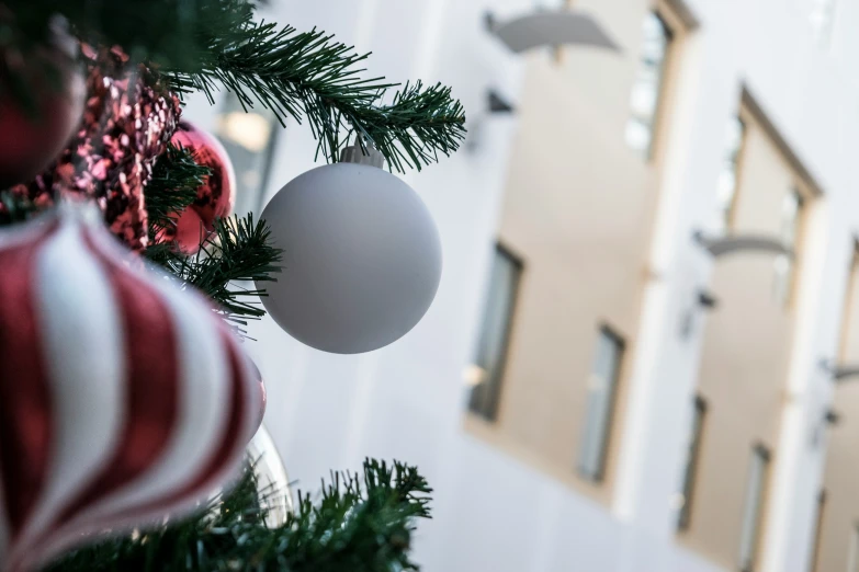 a white ball and a green pine tree