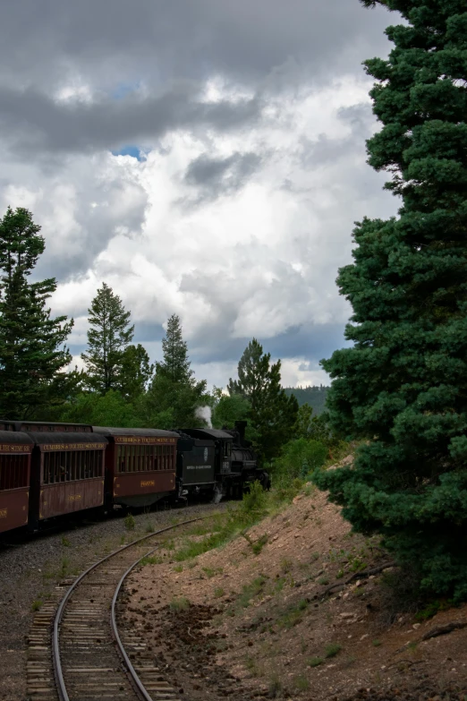 a train traveling along a forest filled hillside