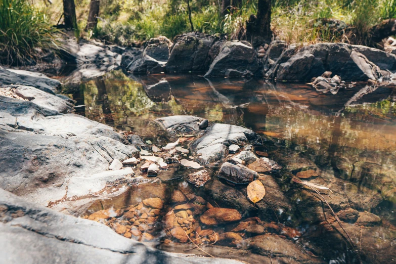 rocks and other vegetation in water surrounded by rocks