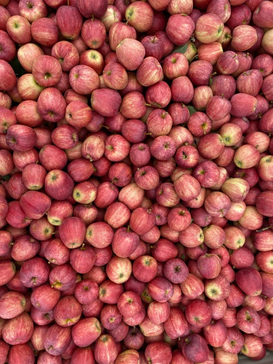many red apples piled high in a pile