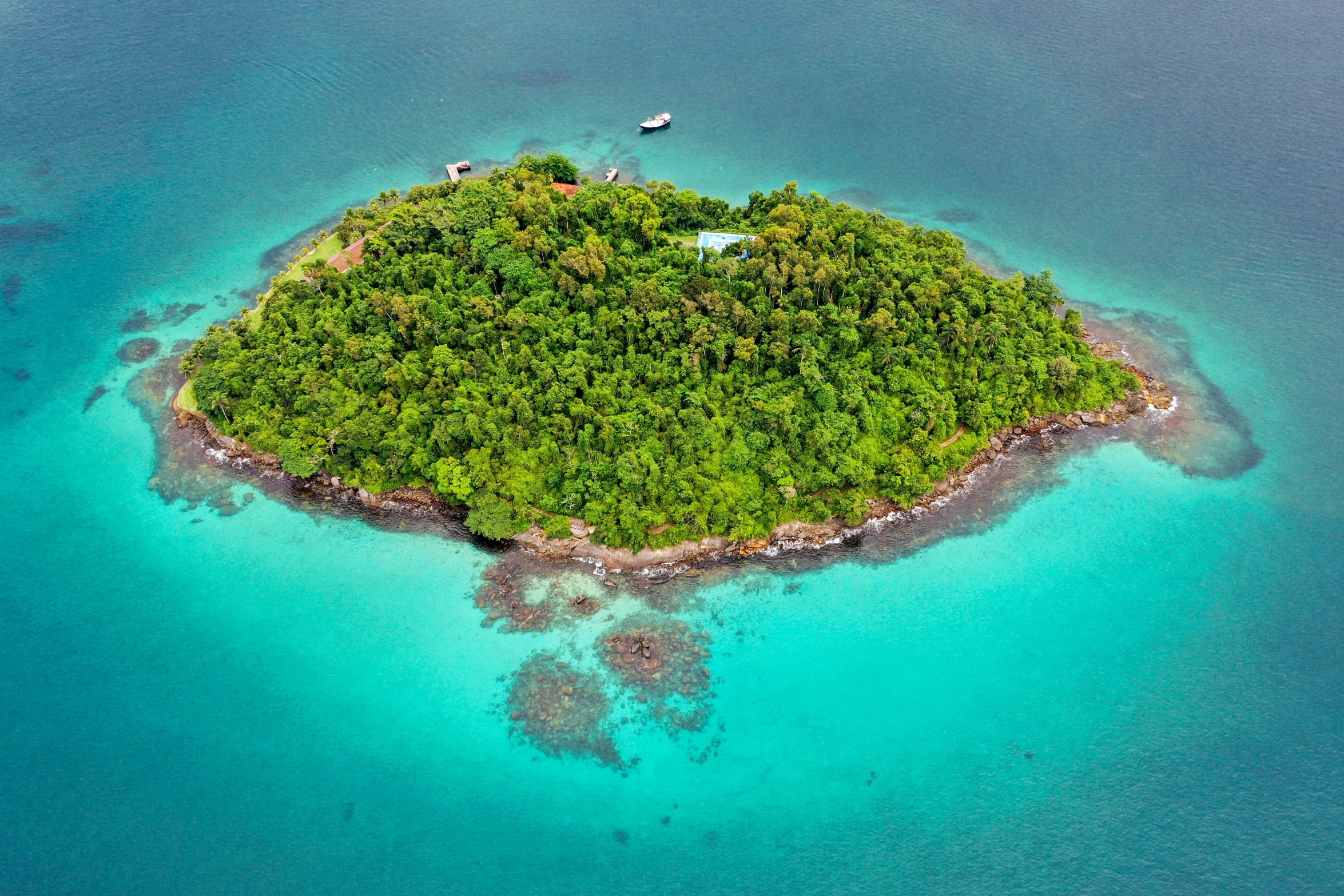 an island with several green trees on it