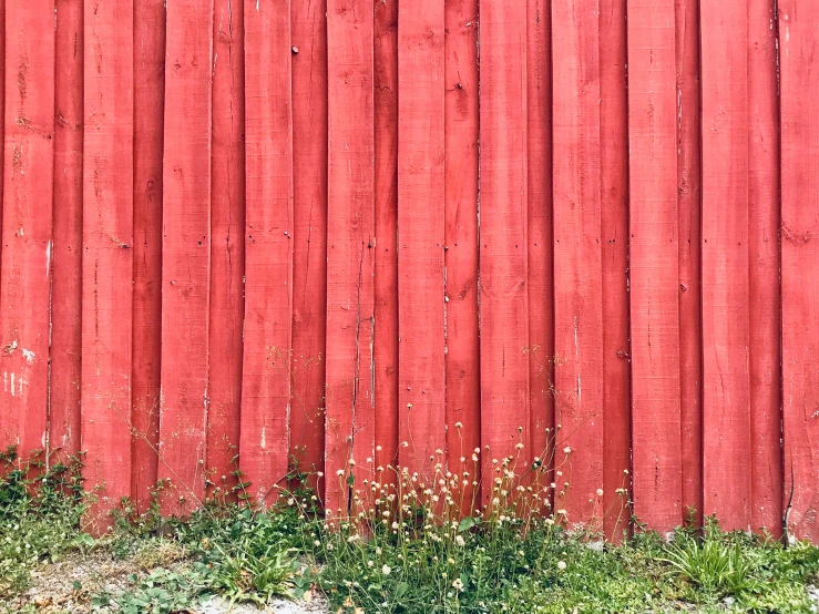 a fire hydrant sits near an old red fence