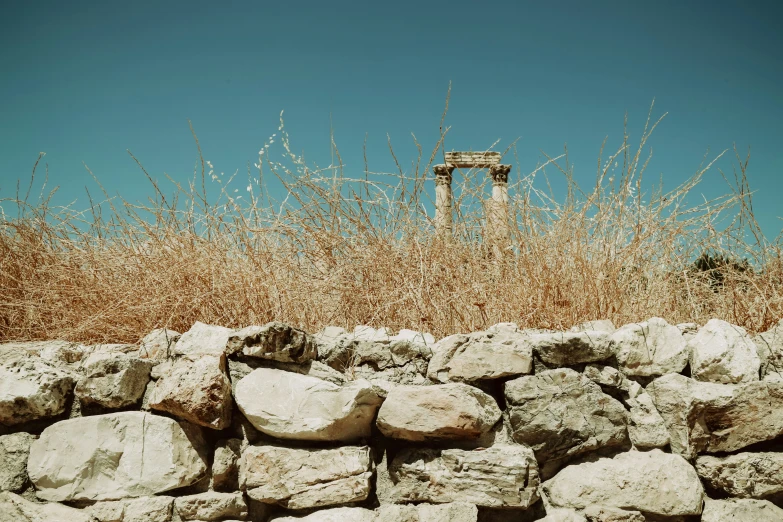 a stone wall with dry grass on it