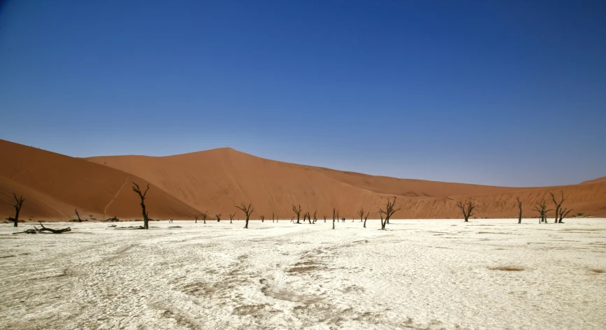 the view from a barren area in the desert