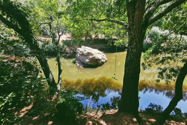 a pond that has some rocks in it