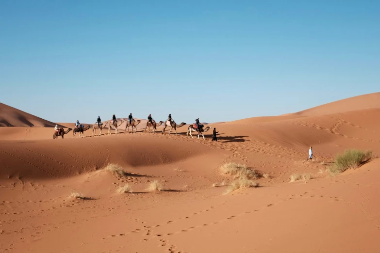 people riding on camels across the sand dunes