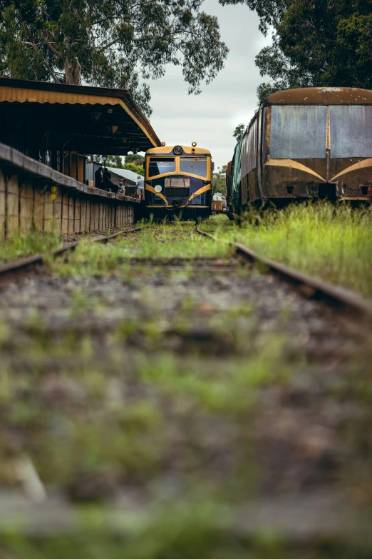 a train that is on some tracks in the grass