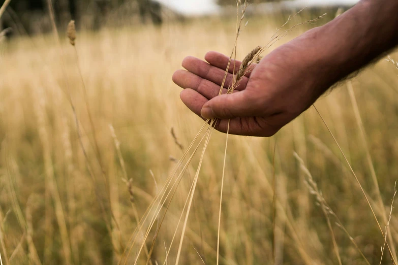 a man is standing in a field of grass