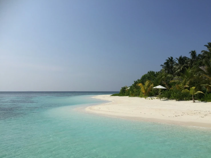 an empty beach with palm trees and umbrellas on it