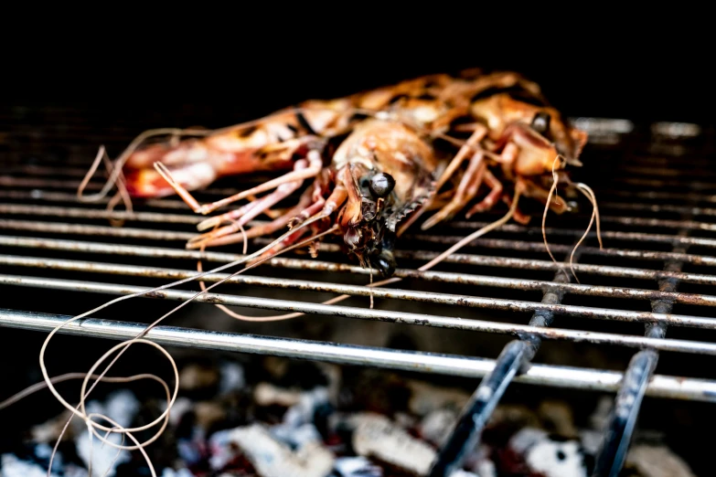 a grill with several dead shrimp on it