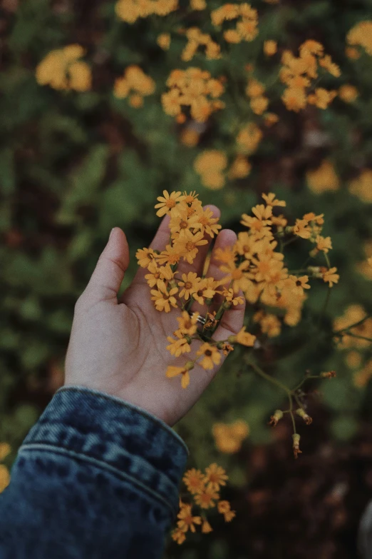 someone holding flowers in the air with their hand