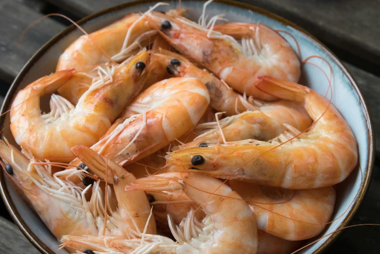 the bowl contains a few shrimp with little black beads