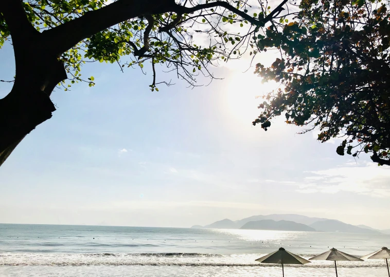 two beach chairs are up against the tree