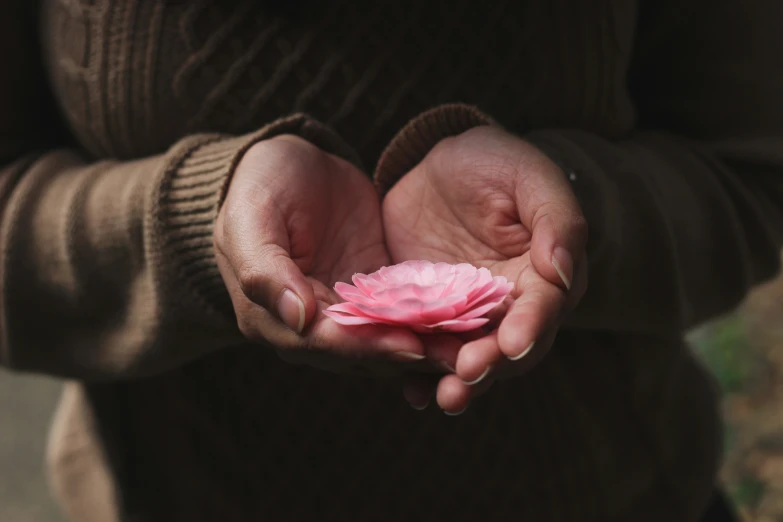 a person holding their hand out with a pink flower in the palm